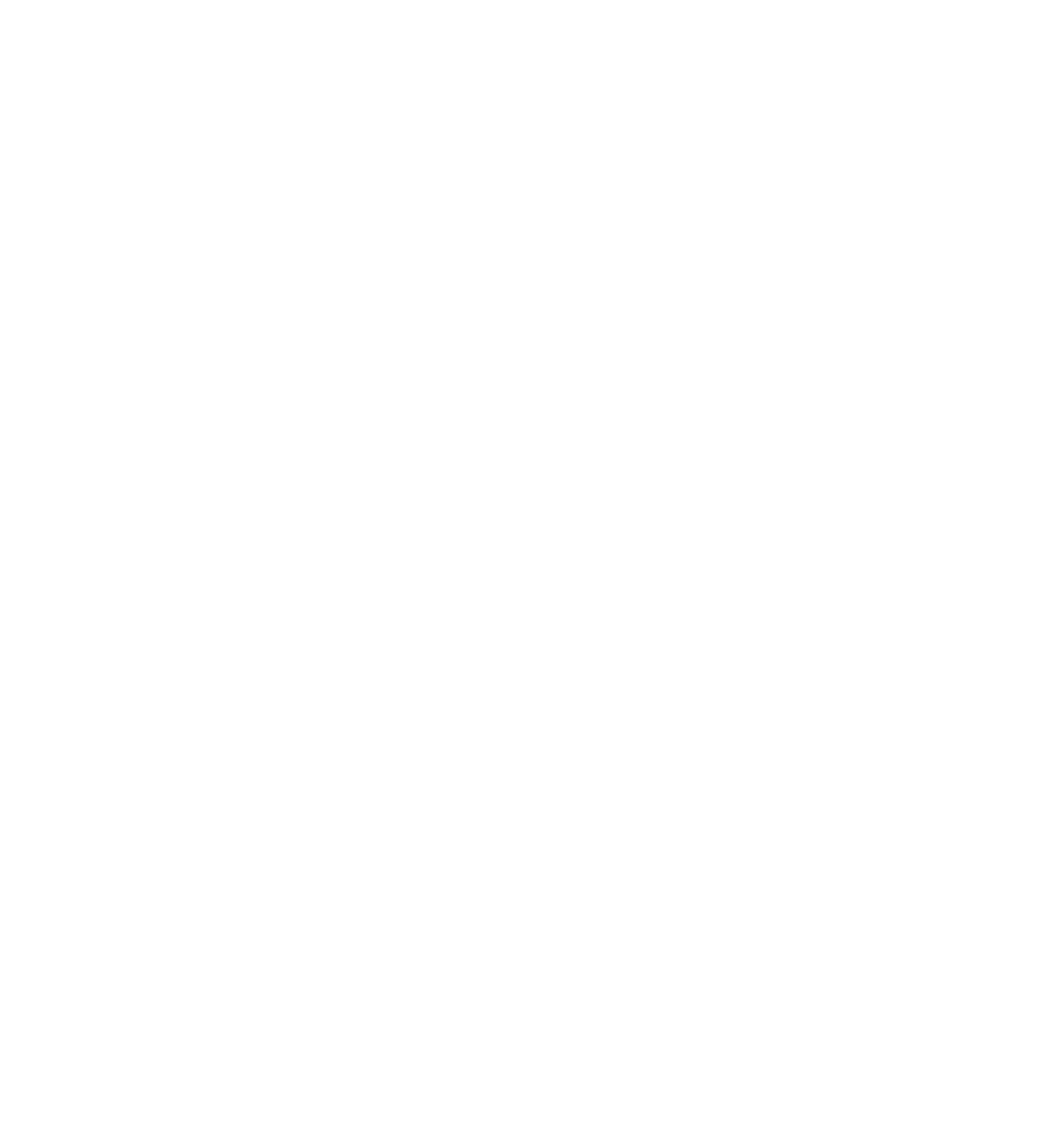 Son Of Brooklyn
