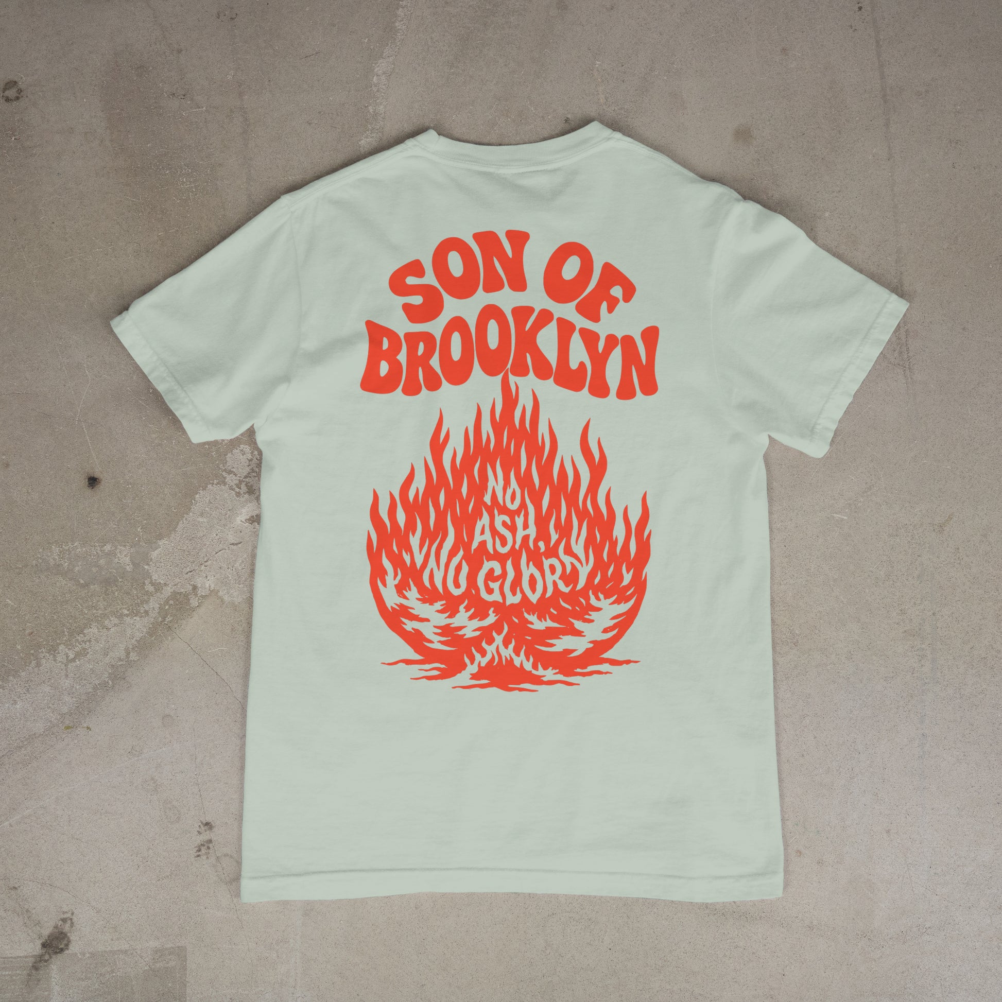 No Ash, No Glory T-Shirt